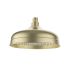 Clasico Shower Head In Brushed Gold