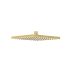 Rosa Square Overhead Shower Brushed Gold