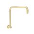 Round Rectangle Curved Shower Arm Brushed Gold