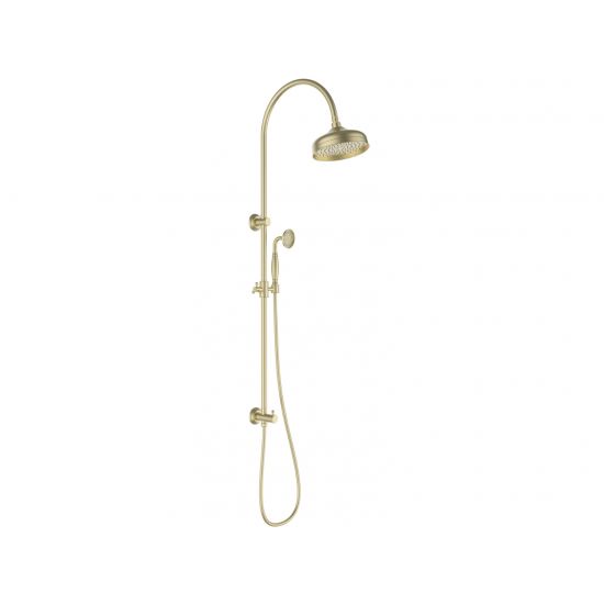 Clasico Combination Shower Set In Brushed Gold