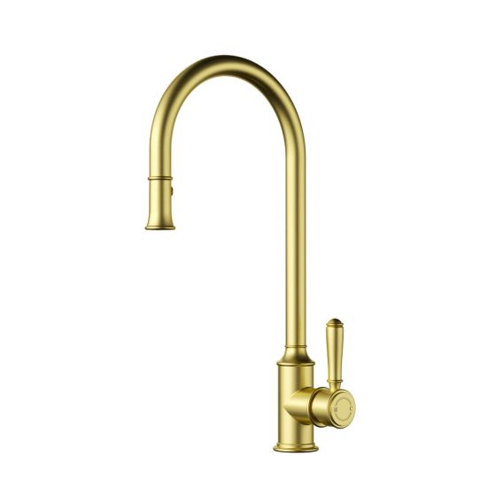 Clasico Pull-Out Sink Mixer Brushed Gold