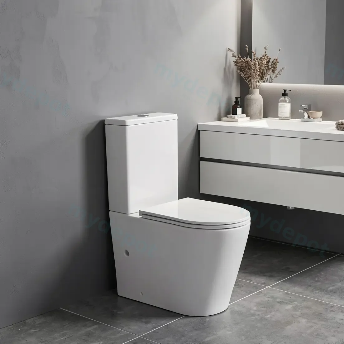 Berlin Back To Wall Toilet Suite Quiet Flushing Technology view 9