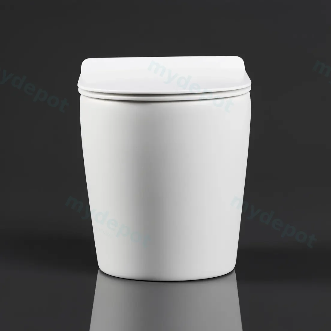 Floor Pan Matte White Rimless Flushing Toilet P-trap Roughing -in view 5