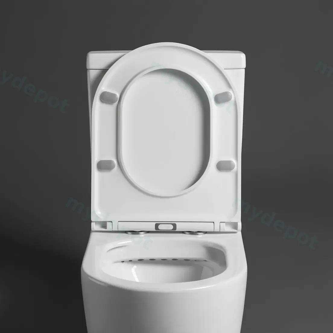 660×390×835mm Binli Agena Toilet Suite view 10