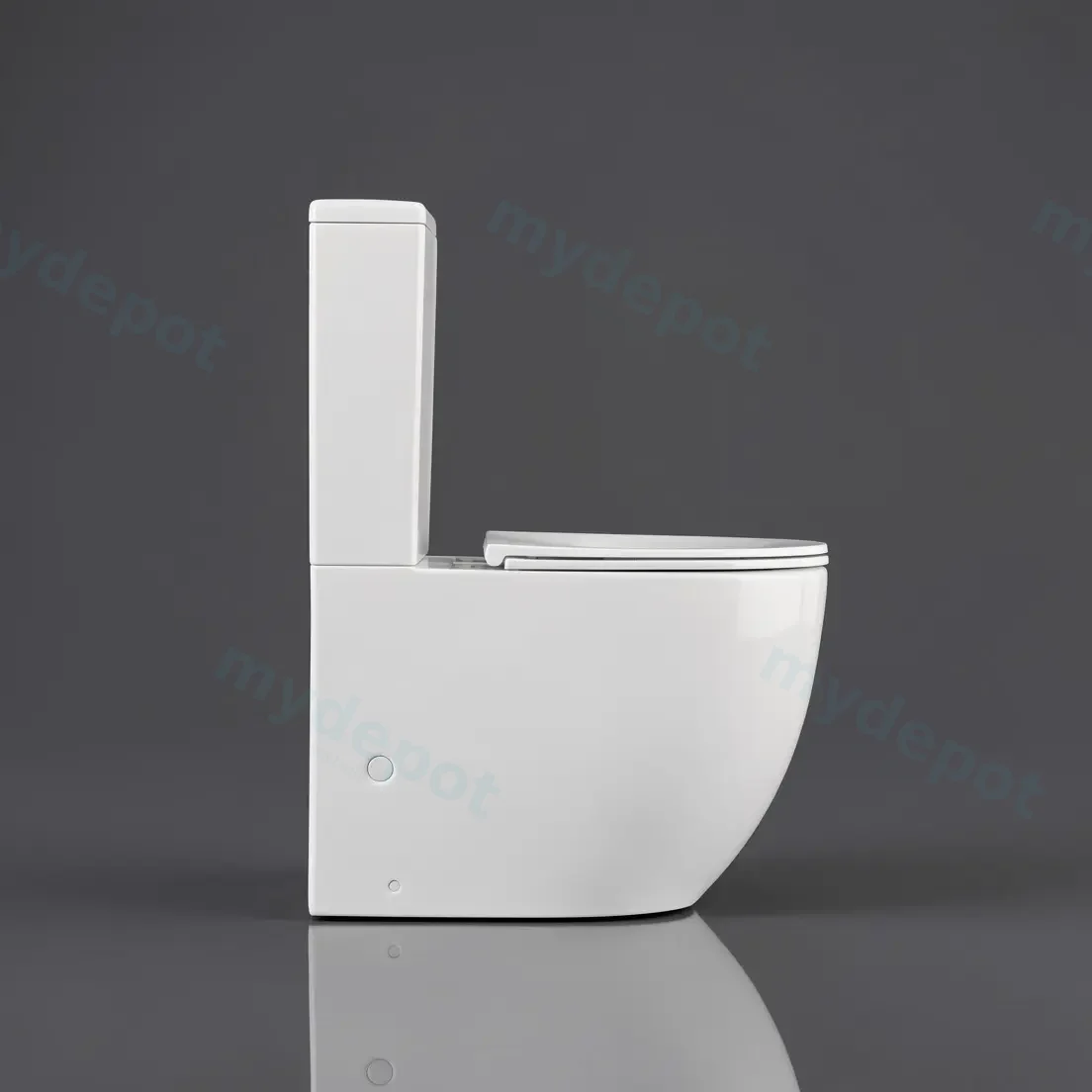 DIANA Gloss White Back To Wall Toilet Suite view 2