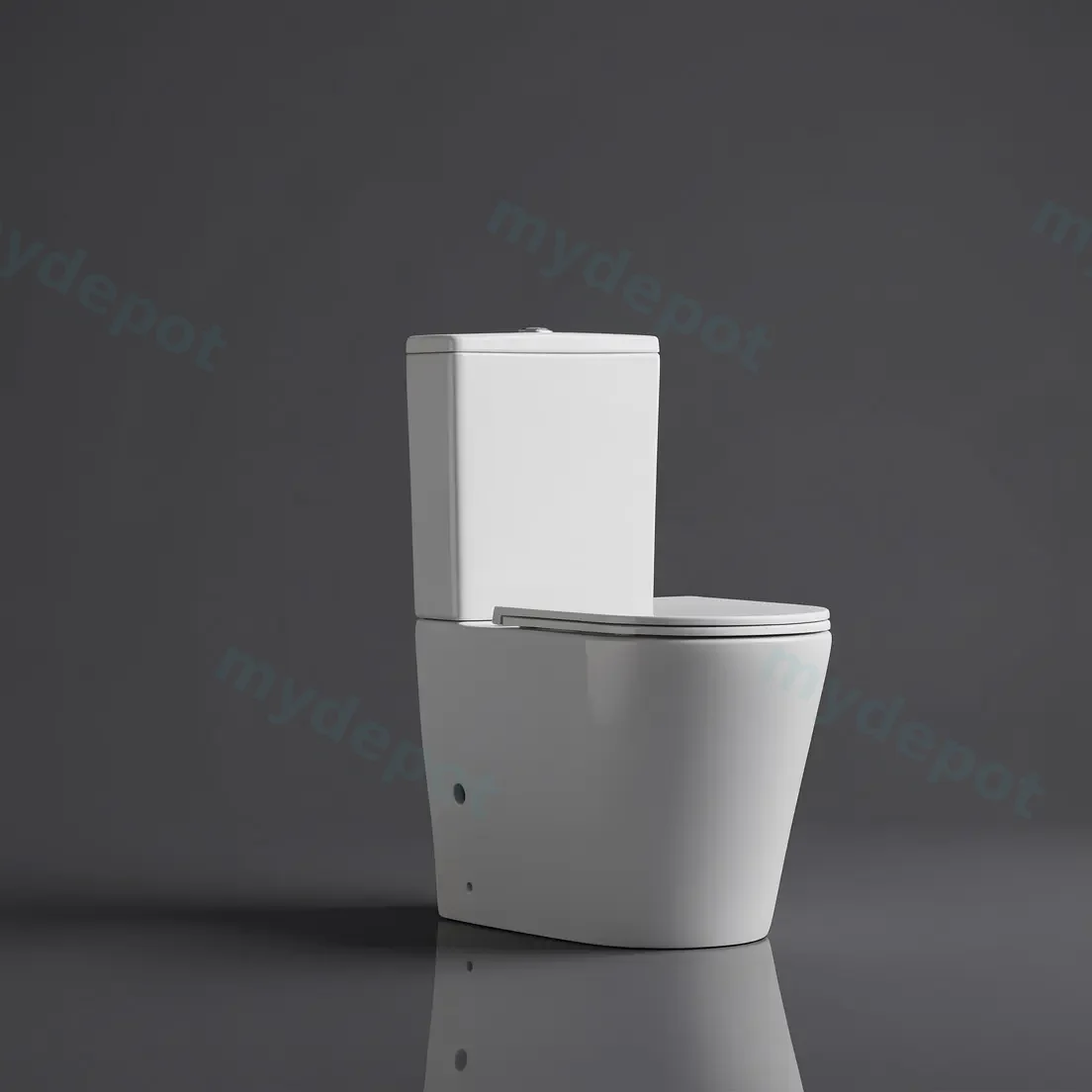 665*370*845mm Pani Back To Wall Toilet Suite (Rimless) With Slim UF Seat Cover And  Universal Inlet Cistern T3 view 3
