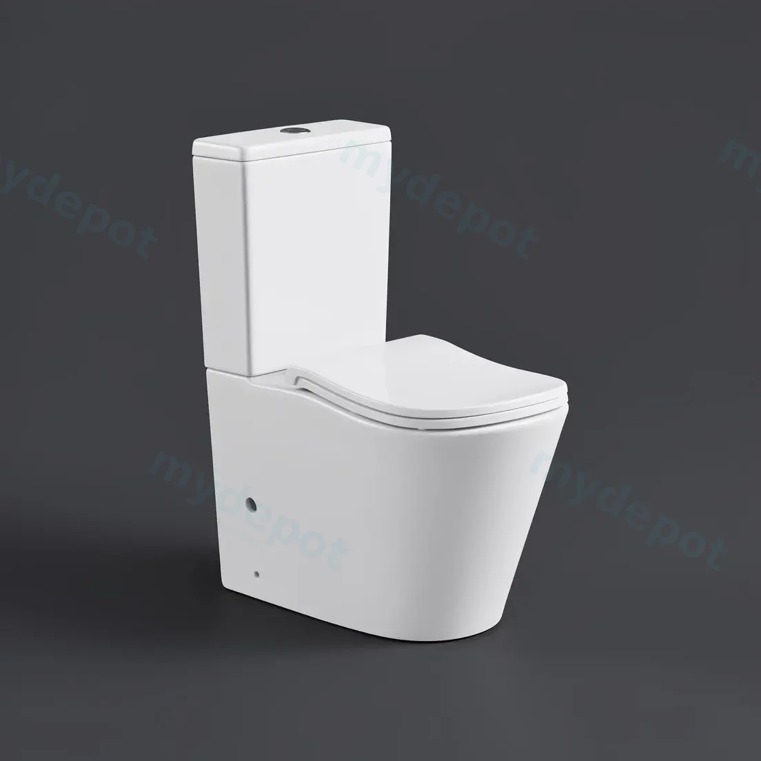 FIFA Gloss White Back To Wall Toilet Suite view 3