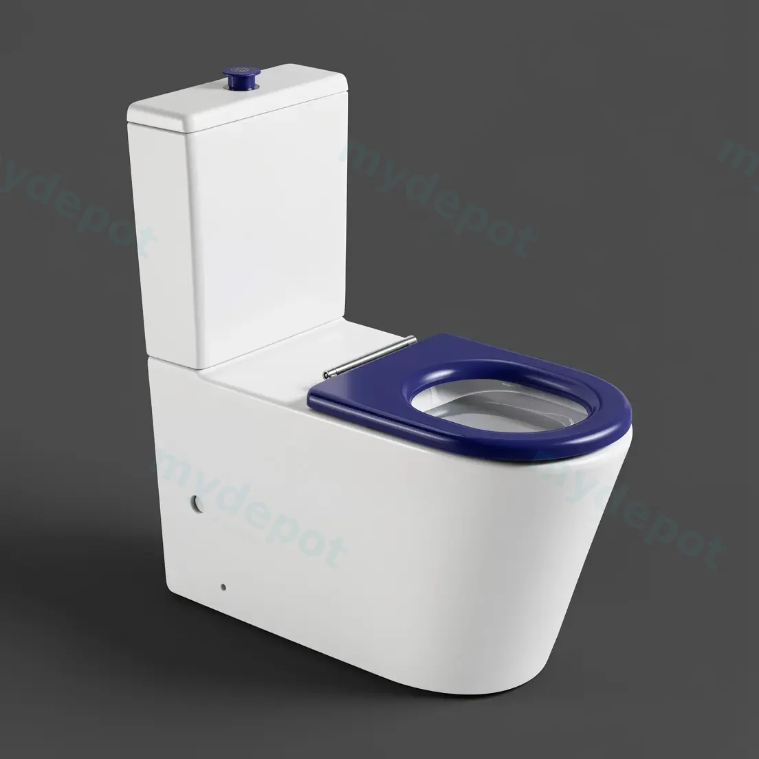 800*865*390mm Pani Care Accessible Back To Wall Toilet view 3