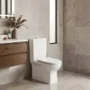 660*380*845mm Alpha Tornado Boxrim Toilet Suite