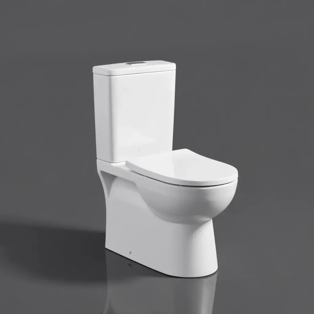 [50345] 680*380*860mm Moi Back To Wall Toilet Suite (Rimless) With Slim PP Seat Cover And Bottom Inlet Cistern T2B