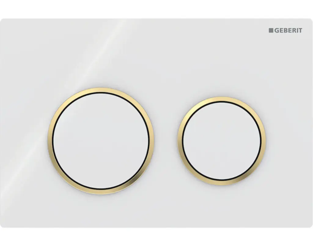 Kappa 21 Dual Flush/Access Plate (ABS) Bright White Plate And Buttons With Bright Gold Rings