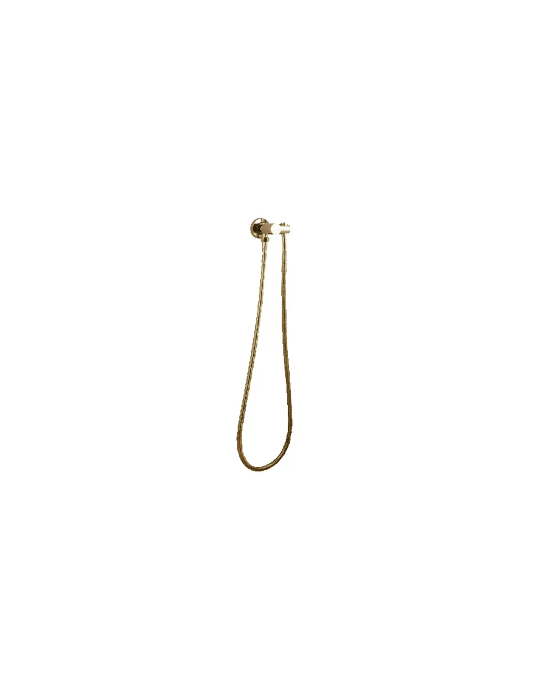[40798] Pentro Brushed Yellow Gold Shower Holder & Connector