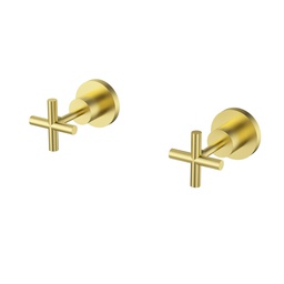 [44590] Plnz Wall Top Assemblies Lead Free Brushed Gold