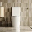 FIFA Gloss White Back To Wall Toilet Suite